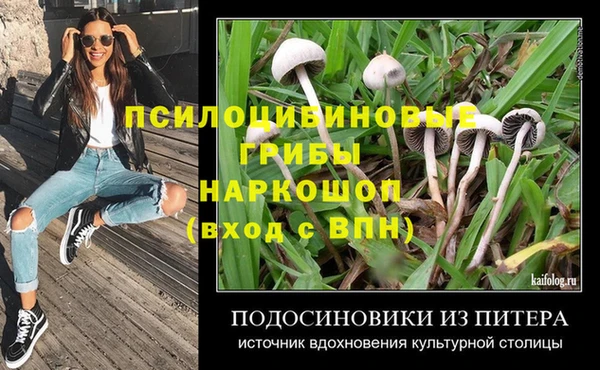 СК Абаза