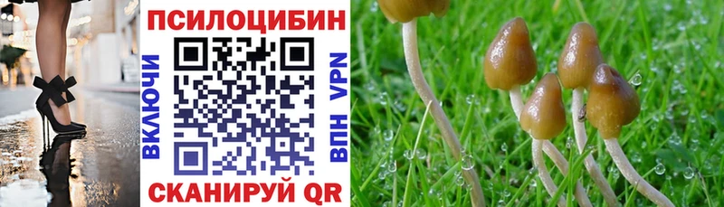 Галлюциногенные грибы мицелий  Батайск 